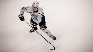 Nicolas AVERTY - UN OEIL AVERTY